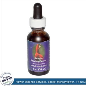 Flower_Essence_Services__Scarlet_Monkeyflower__1_fl_oz__30_ml_.jpg