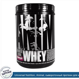 Universal_Nutrition__Animal__сывороточный_протеин_для_мышц_клубника__1_фунт__454_г_.jpg
