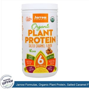 Jarrow_Formulas__Organic_Plant_Protein__Salted_Caramel_Flavor___16_oz__450_g_.jpg