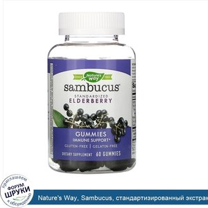 Nature_s_Way__Sambucus__стандартизированный_экстракт_бузины__60жевательных_таблеток.jpg