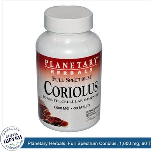 Planetary_Herbals__Full_Spectrum_Coriolus__1_000_mg__60_Tablets.jpg