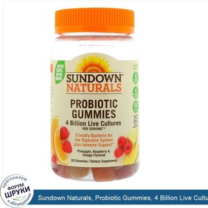 Sundown_Naturals__Probiotic_Gummies__4_Billion_Live_Cultures__60_Gummies.jpg