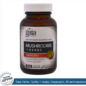 Gaia_Herbs__Грибы___травы__Кордицепс__60_вегетарианских_капсул.jpg