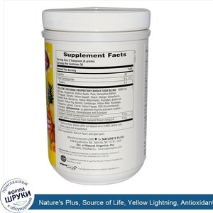 Nature_s_Plus__Source_of_Life__Yellow_Lightning__Antioxidant_Whole_Food_Concentrate__0.4_lb.__...jpg