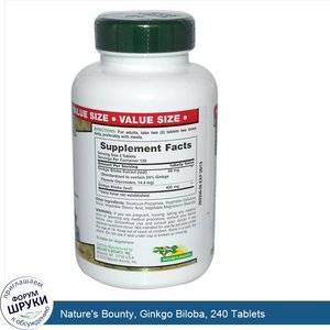 Nature_s_Bounty__Ginkgo_Biloba__240_Tablets.jpg