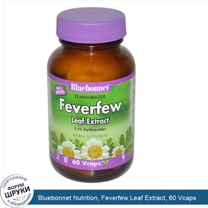 Bluebonnet_Nutrition__Feverfew_Leaf_Extract__60_Vcaps.jpg
