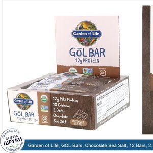 Garden_of_Life__GOL_Bars__Chocolate_Sea_Salt__12_Bars__2.11_oz__60_g__Each.jpg