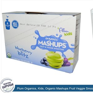 Plum_Organics__Kids__Organic_Mashups_Fruit_Veggie_Smoothie__Blueberry_Blitz__6_Pouches__3.17_o...jpg