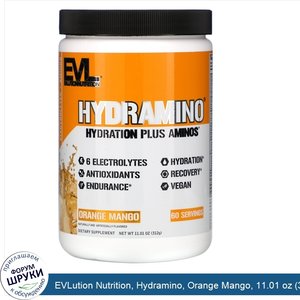 EVLution_Nutrition__Hydramino__Orange_Mango__11.01_oz__312_g_.jpg