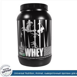 Universal_Nutrition__Animal__сывороточный_протеин_для_мышц__шоколад_мята__2_фунта__907_г_.jpg