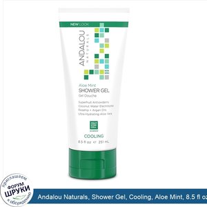 Andalou_Naturals__Shower_Gel__Cooling__Aloe_Mint__8.5_fl_oz__251_ml_.jpg