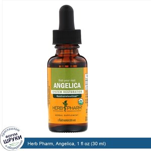 Herb_Pharm__Angelica__1_fl_oz__30_ml_.jpg