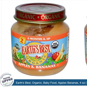 Earth_s_Best__Organic__Baby_Food__Apples_Bananas__4_oz__113_g_.jpg