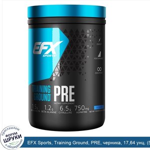 EFX_Sports__Training_Ground__PRE__черника__17_64_унц.__500_г_.jpg