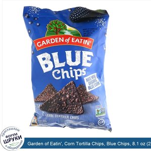 Garden_of_Eatin___Corn_Tortilla_Chips__Blue_Chips__8.1_oz__229_g_.jpg