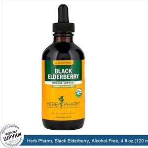 Herb_Pharm__Black_Elderberry__Alcohol_Free__4_fl_oz__120_ml_.jpg