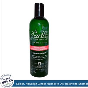 Solgar__Hawaiian_Ginger_Normal_to_Oily_Balancing_Shampoo__12oz.jpg