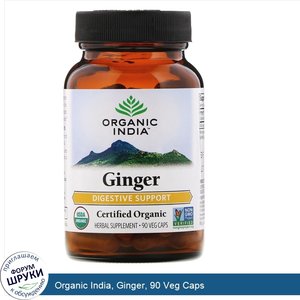 Organic_India__Ginger__90_Veg_Caps.jpg