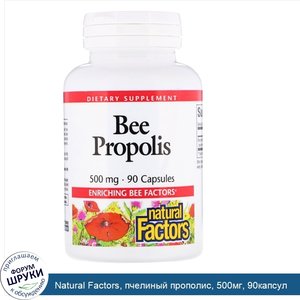 Natural_Factors__пчелиный_прополис__500мг__90капсул.jpg