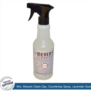 Mrs._Meyers_Clean_Day__Countertop_Spray__Lavender_Scent__16_fl_oz__473_ml_.jpg