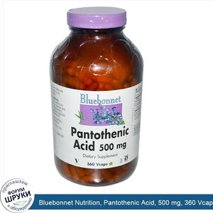 Bluebonnet_Nutrition__Pantothenic_Acid__500_mg__360_Vcaps.jpg