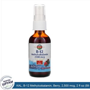 KAL__B_12_Methylcobalamin__Berry__2_500_mcg__2_fl_oz__59_ml_.jpg