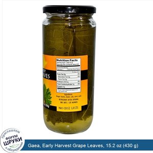 Gaea__Early_Harvest_Grape_Leaves__15.2_oz__430_g_.jpg