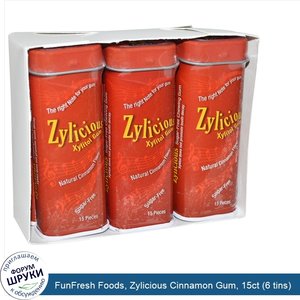 FunFresh_Foods__Zylicious_Cinnamon_Gum__15ct__6_tins_.jpg