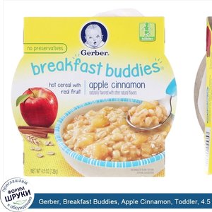 Gerber__Breakfast_Buddies__Apple_Cinnamon__Toddler__4.5_oz__128_g_.jpg