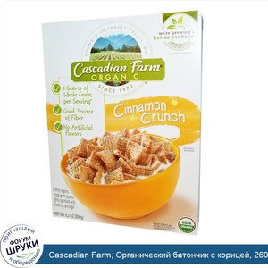 Cascadian_Farm__Органический_батончик_с_корицей__260_г__9_2_унции_.jpg