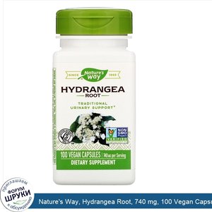 Nature_s_Way__Hydrangea_Root__740_mg__100_Vegan_Capsules.jpg