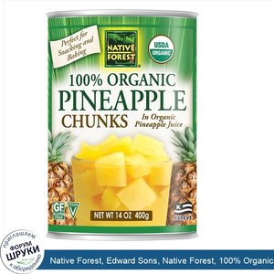 Native_Forest__Edward_Sons__Native_Forest__100__Organic_Pineapple_Chunks__14_oz__400_g_.jpg