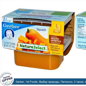 Gerber__1st_Foods__Выбор_природы__Патиссон__2_пачки__каждая_по_2_5_унции__71_г_.jpg