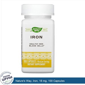 Nature_s_Way__Iron__18_mg__100_Capsules.jpg