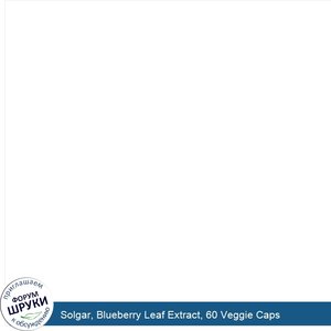 Solgar__Blueberry_Leaf_Extract__60_Veggie_Caps.jpg