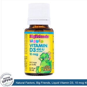 Natural_Factors__Big_Friends__Liquid_Vitamin_D3__10_mcg_400_IU__0.5_fl_oz__15_ml_.jpg