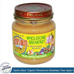 Earth_s_Best__Organic_Wholesome_Breakfast__Pear_Apple_Oatmeal__4.5_oz__127_g_.jpg