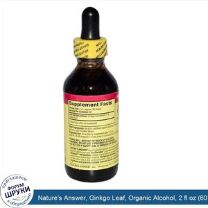 Nature_s_Answer__Ginkgo_Leaf__Organic_Alcohol__2_fl_oz__60_ml_.jpg