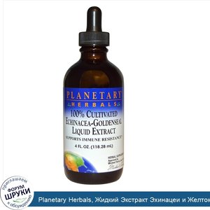 Planetary_Herbals__Жидкий_Экстракт_Эхинацеи_и_Желтокорня__4_жидкие_унции__118.28_мл_.jpg