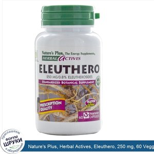 Nature_s_Plus__Herbal_Actives__Eleuthero__250_mg__60_Veggie_Caps.jpg