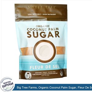 Big_Tree_Farms__Organic_Coconut_Palm_Sugar__Fleur_De_Sel__14_oz__397_g_.jpg