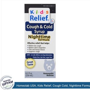 Homeolab_USA__Kids_Relief__Cough_Cold__Nighttime_Formula__8.5_fl_oz__250_ml_.jpg