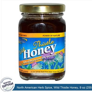 North_American_Herb_Spice__Wild_Thistle_Honey__9_oz__255_g_.jpg
