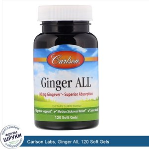 Carlson_Labs__Ginger_All__120_Soft_Gels.jpg