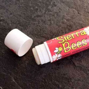 sierrabees.JPG