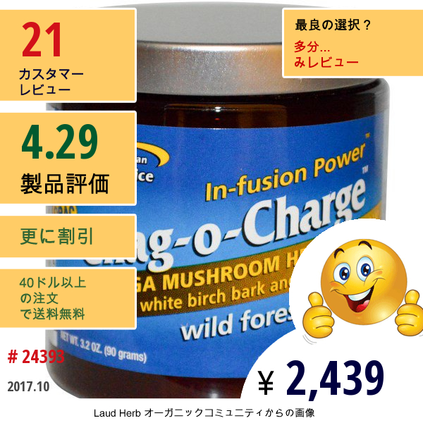 North American Herb & Spice Co., chag-O-Power™（チャングオーパワー）、ワイルド フォレスト ティー、3.2 オンス (90 G)