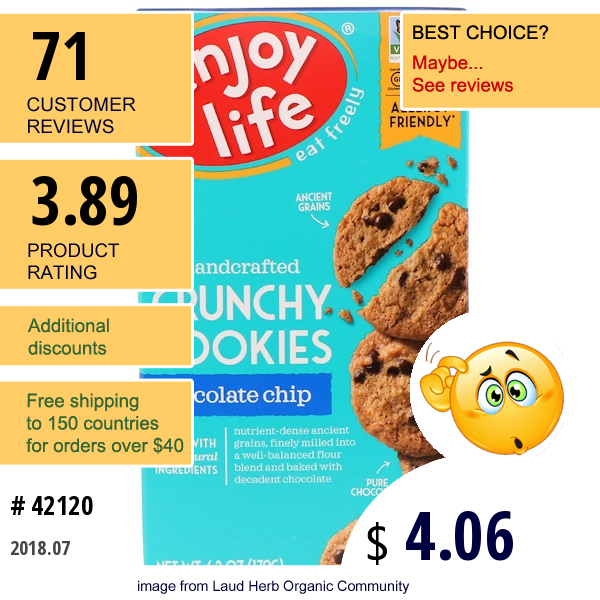 Enjoy Life Foods, Handcrafted Crunchy Cookies, Chocolate Chip, 6.3 Oz (179 G)