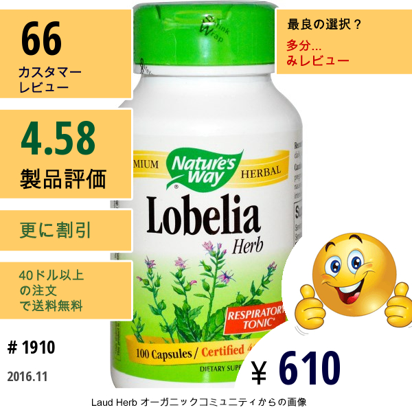 Natures Way, ロベリアハーブ, 425 Mg, 100 錠