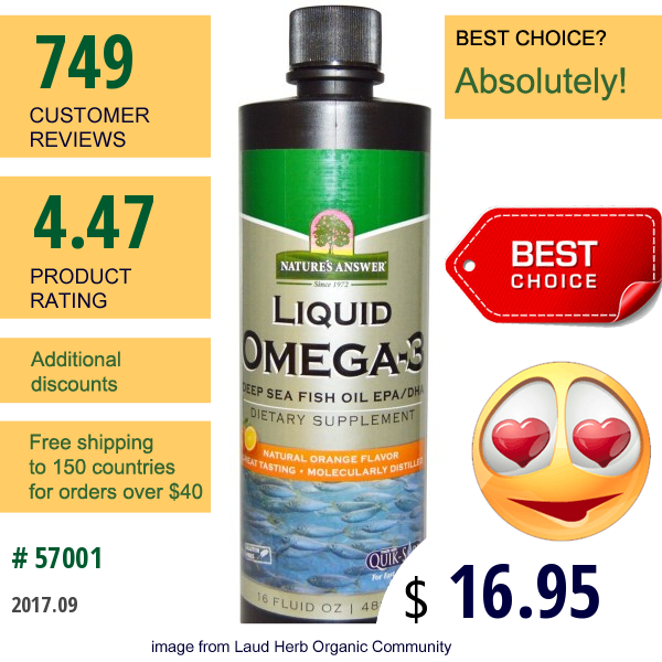 Natures Answer, Liquid Omega-3, Deep Sea Fish Oil Epa/dha , Natural Orange Flavor, 16 Fl Oz (480 Ml)  