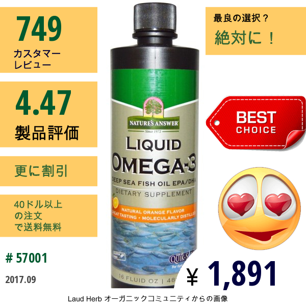 Natures Answer, 液体 オメガ3、 ディプシーフィッシュオイルEpa/dha 、 自然のオレンジフレーバー、 16液量オンス (480 Ml)  